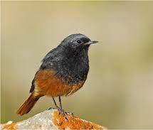 C:\Users\User\Desktop\Без названия (3).jpg